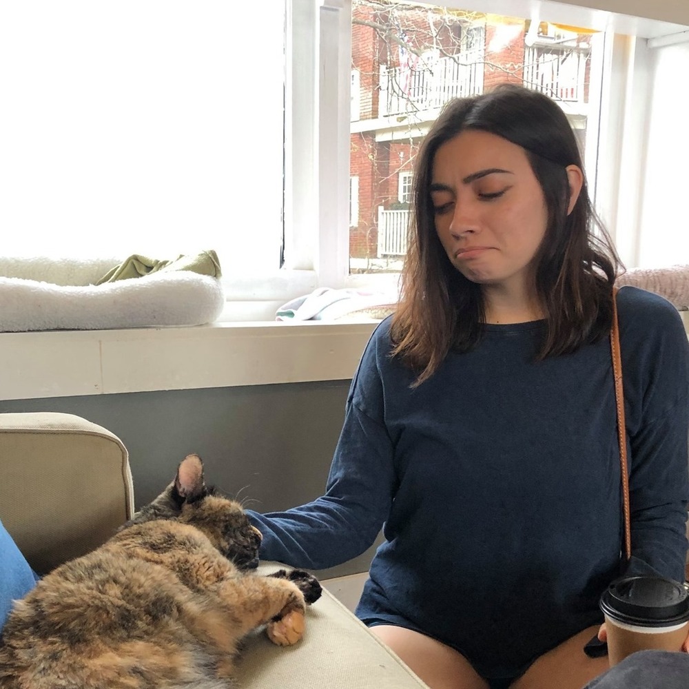 Meet your Posher, Avery